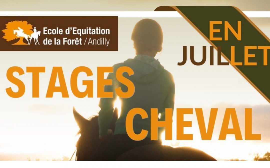 Stages Cheval – Juillet 2024
