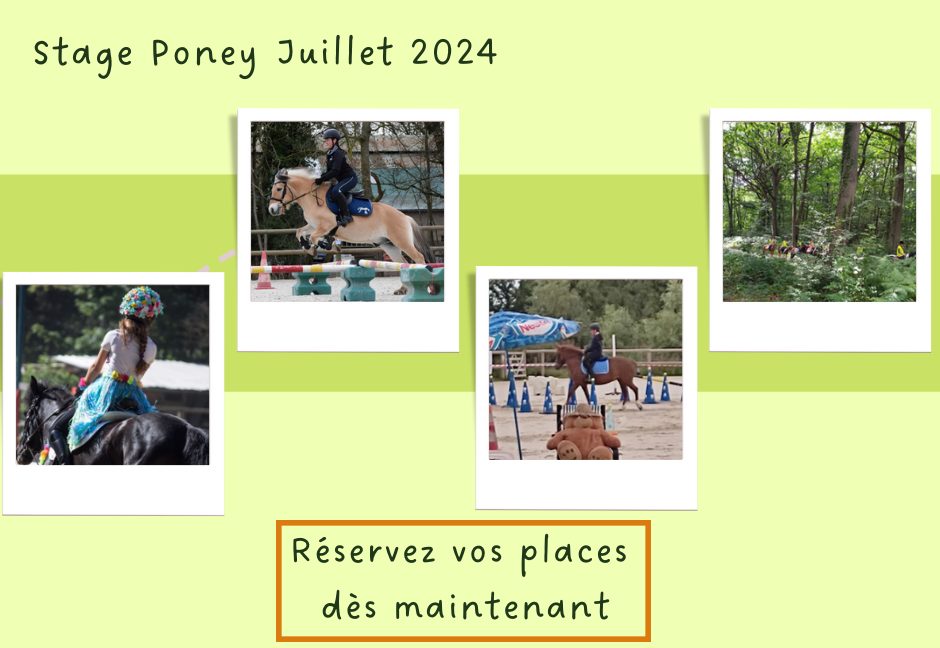 Stages Poney – Juillet 2024